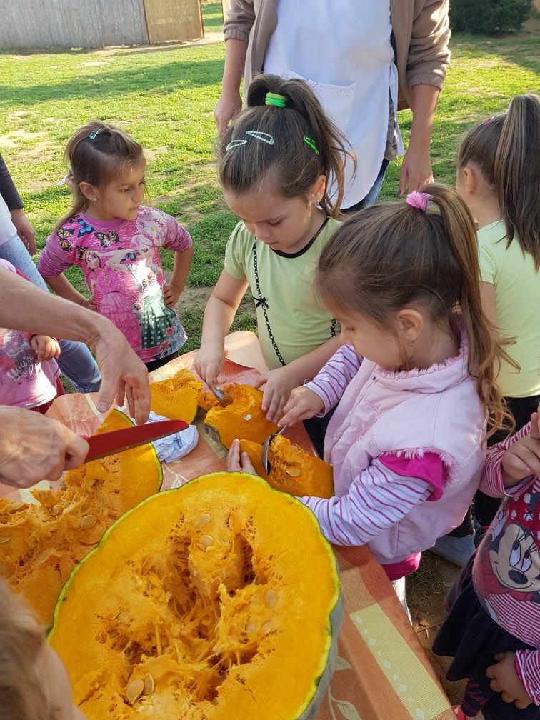 22769984 858683200972904 132589728569509794 o