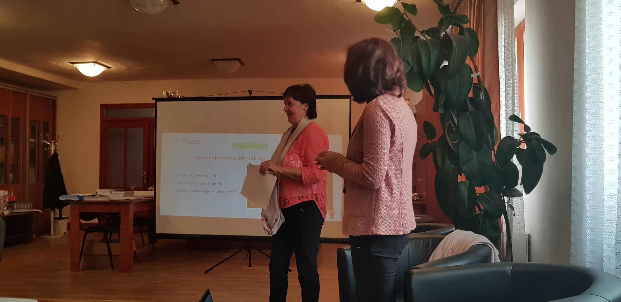 44581786 2111742302411199 4543572364008357888 n